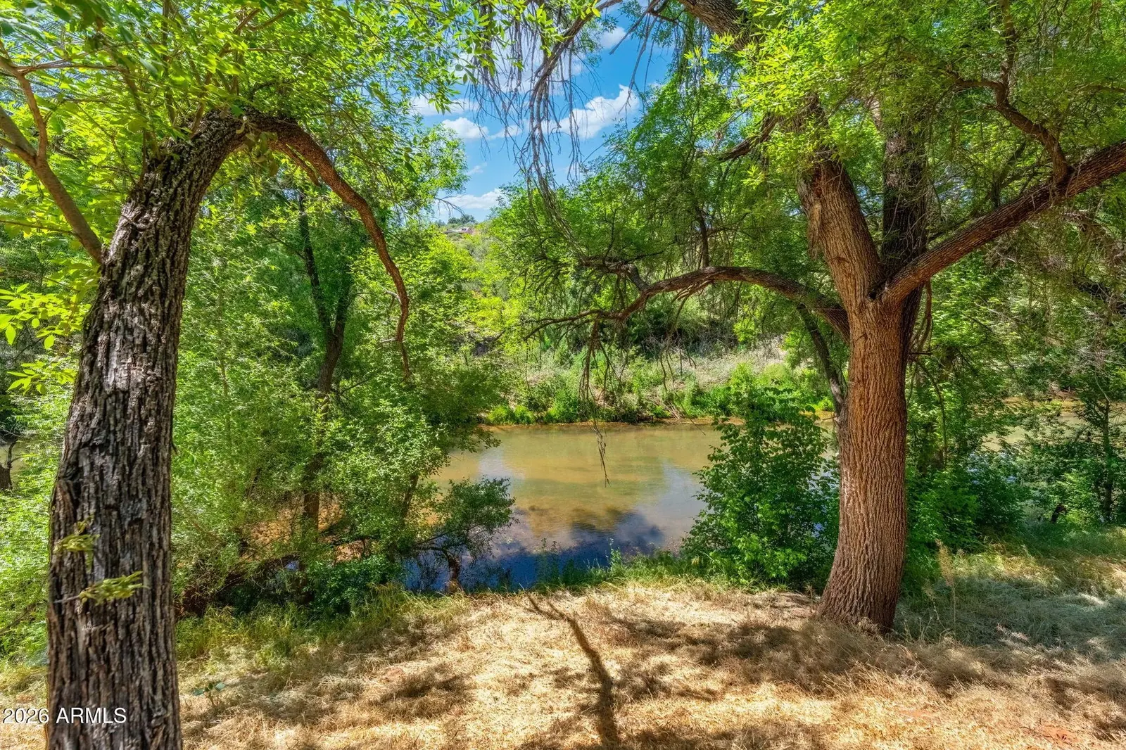 The Verde River at Camp Verde, Arizona